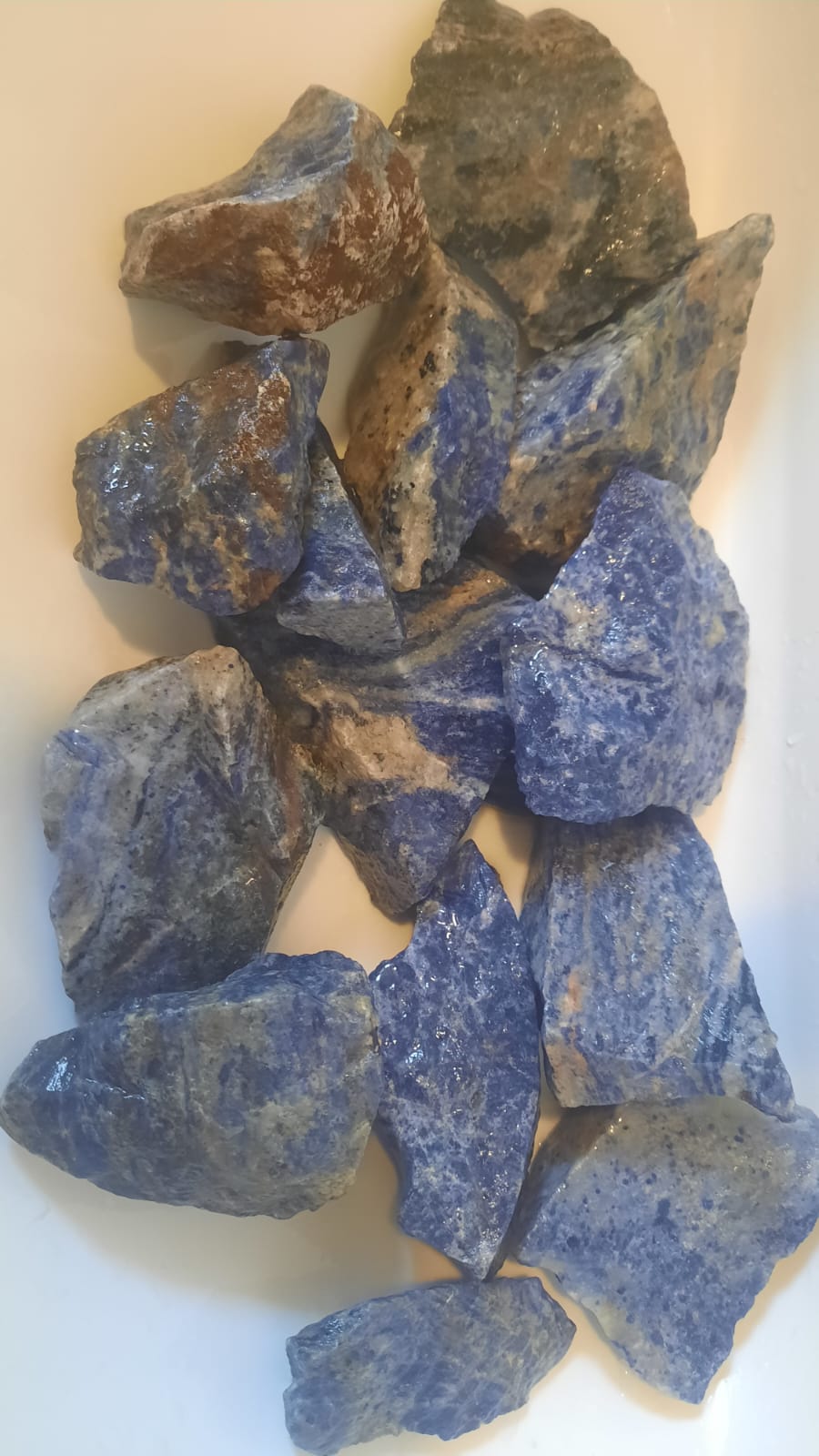 Lot-Nr. 037