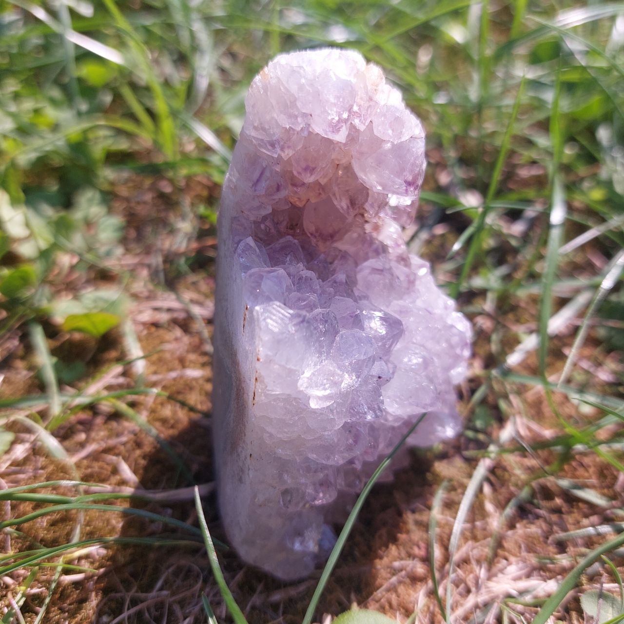 Druse Amethyst, (Brasilien)