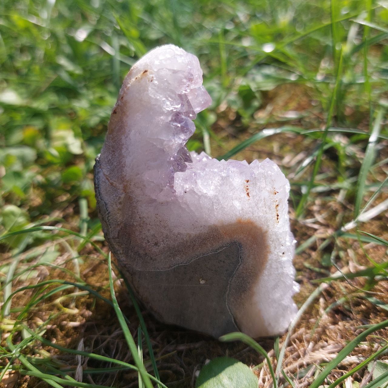 Druse Amethyst, (Brasilien)