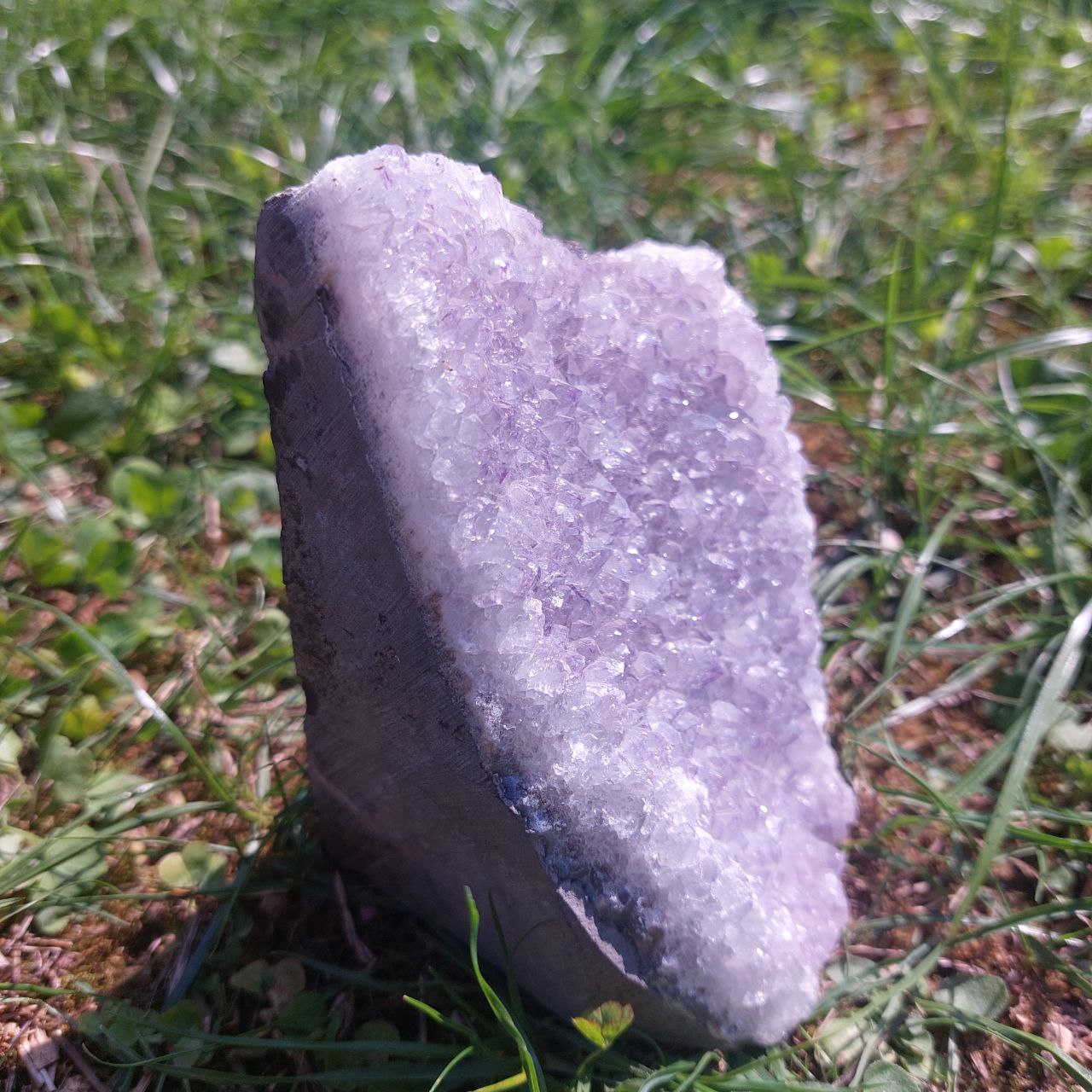 Druse Amethyst, (Brasilien)