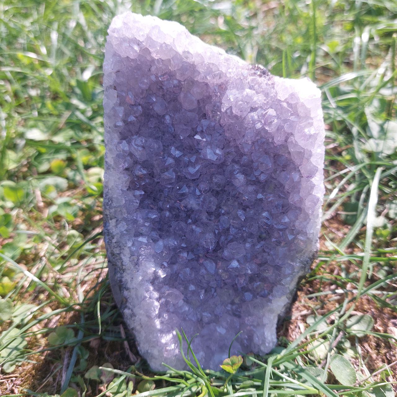 Druse Amethyst, (Brasilien)