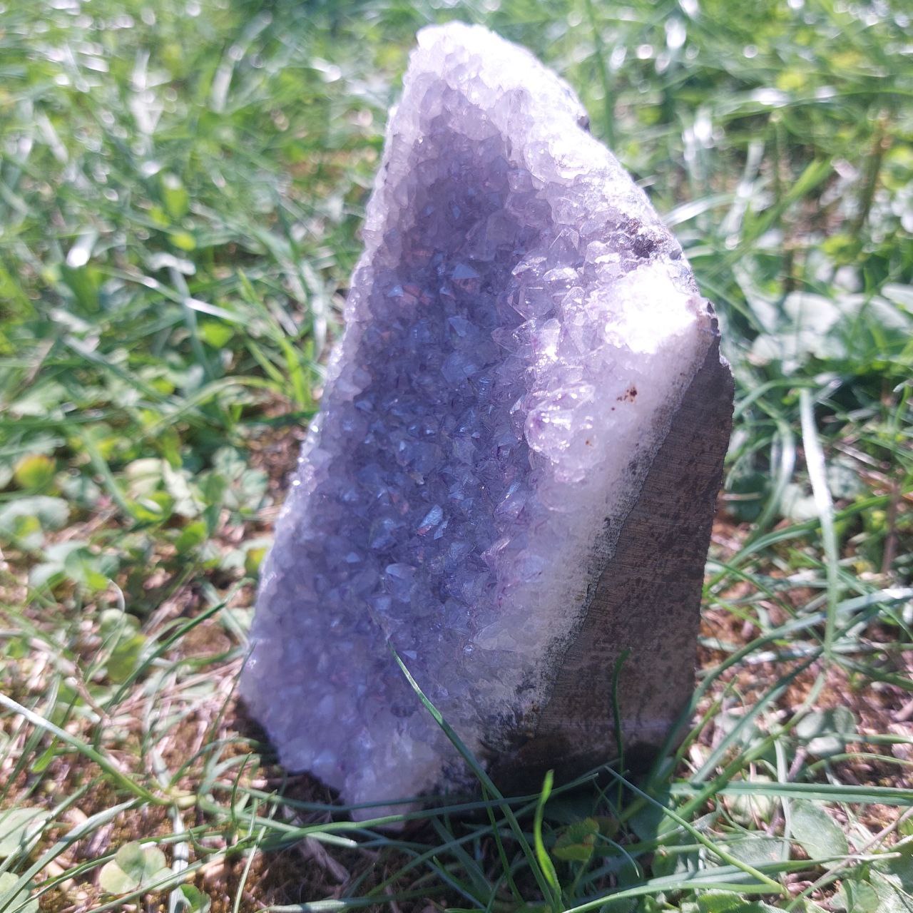Druse Amethyst, (Brasilien)