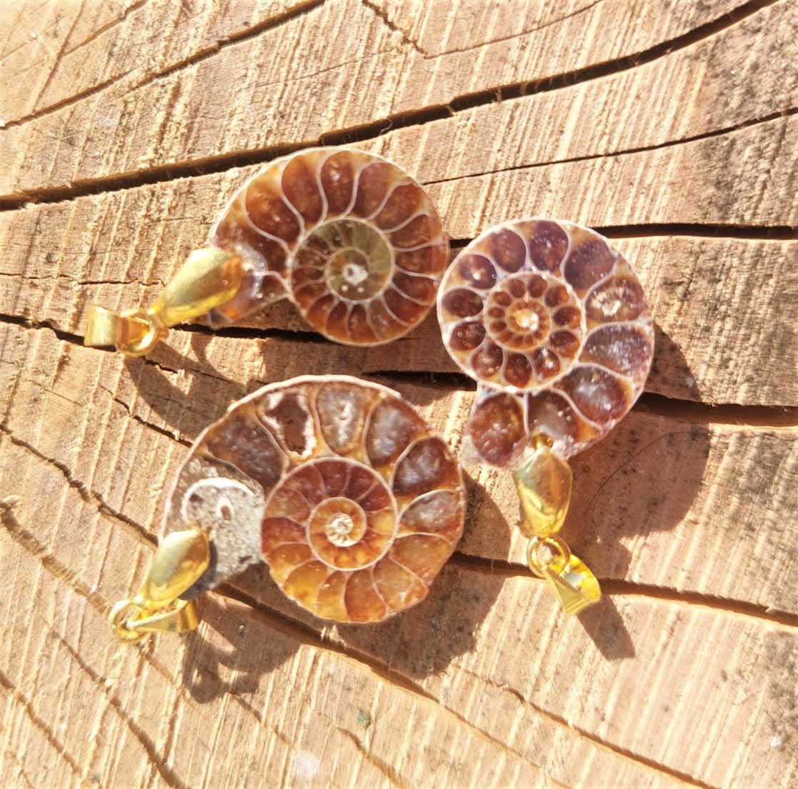 Anhänger Ammonit (Madagaskar)