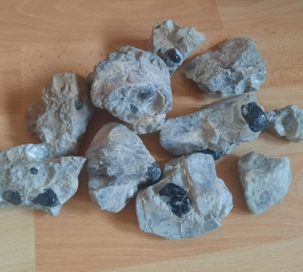 Lot-Nr. 031:
