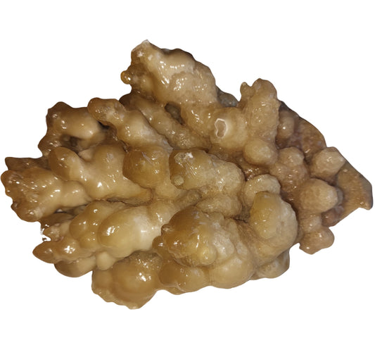 Stalaktit (Aragonit, Kalksinter), 2.4 kg