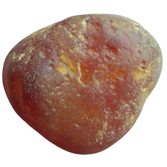Kornelian