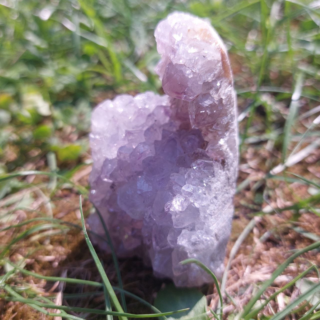 Druse Amethyst, (Brasilien)