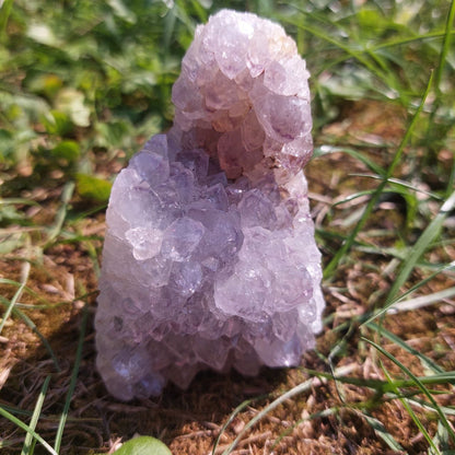 Druse Amethyst, (Brasilien)