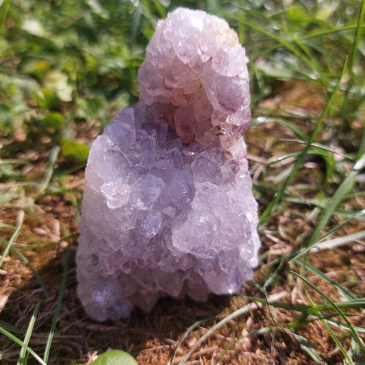 Druse Amethyst, (Brasilien)
