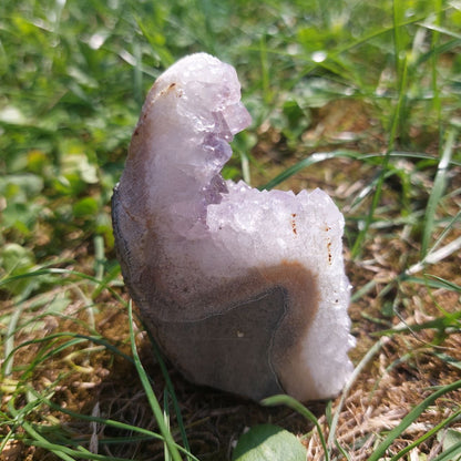 Druse Amethyst, (Brasilien)