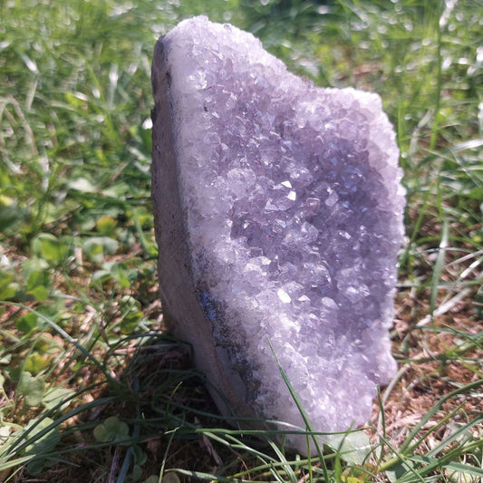 Druse Amethyst, (Brasilien)
