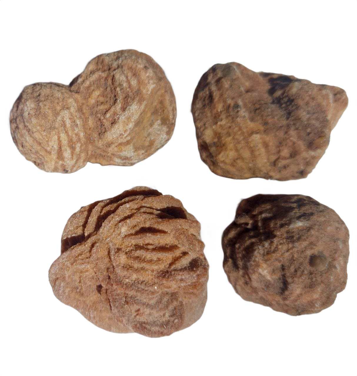 Barytrose (Algerien), 200 Gramm.