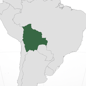 Mineralien und Edelsteine aus Bolivien