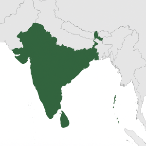 Mineralien und Edelsteine aus Indien