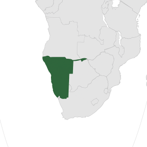 Mineralien und Edelsteine aus Namibia