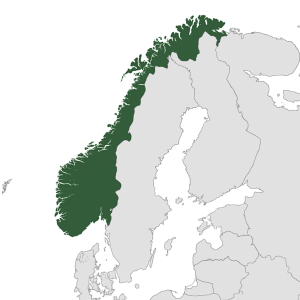 Mineralien und Edelsteine aus Norwegen