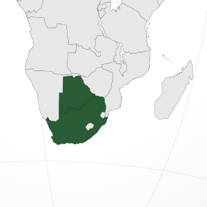 Mineralien und Edelsteine aus Südafrika