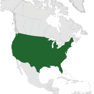Mineralien und Edelsteine aus den USA
