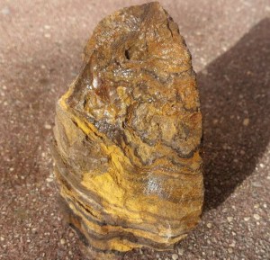 Stromatolith (Bolivien) – Naturstein, Edelstein, Mineralien, Sammlerstück.