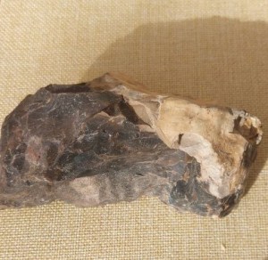 Foto von Versteinertes Holz (Deutschland) – Naturstein Edelstein Mineralien