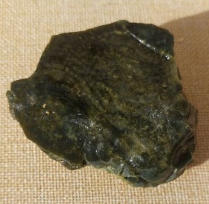 Versteinerte Koralle (Indonesien)