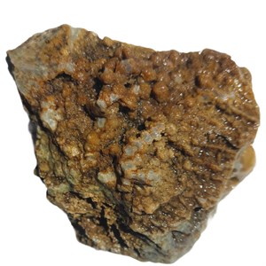 Trauben_Chalzedon250139_2